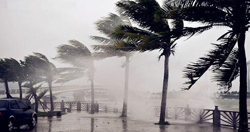 �����������V������������