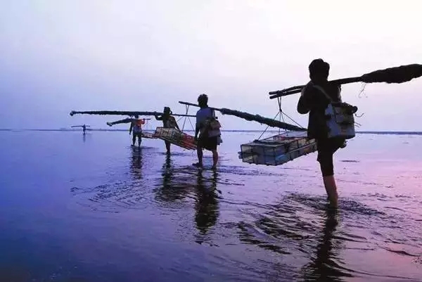 �������s�����V������������