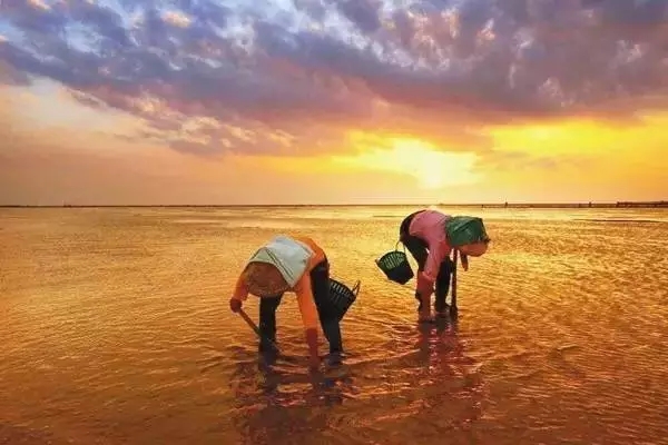 �������s�����V������������