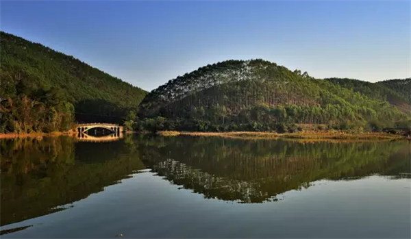 �����������V������������