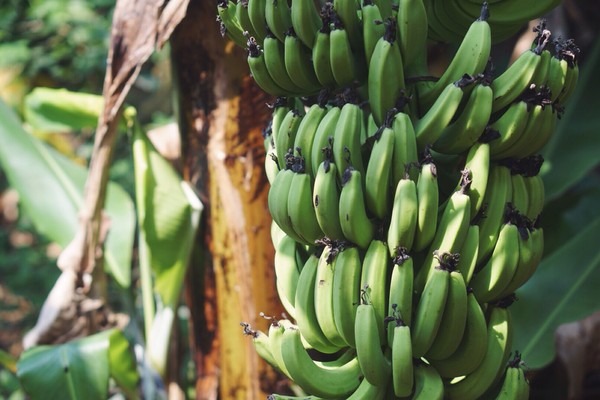 �������������ލu�������V������������