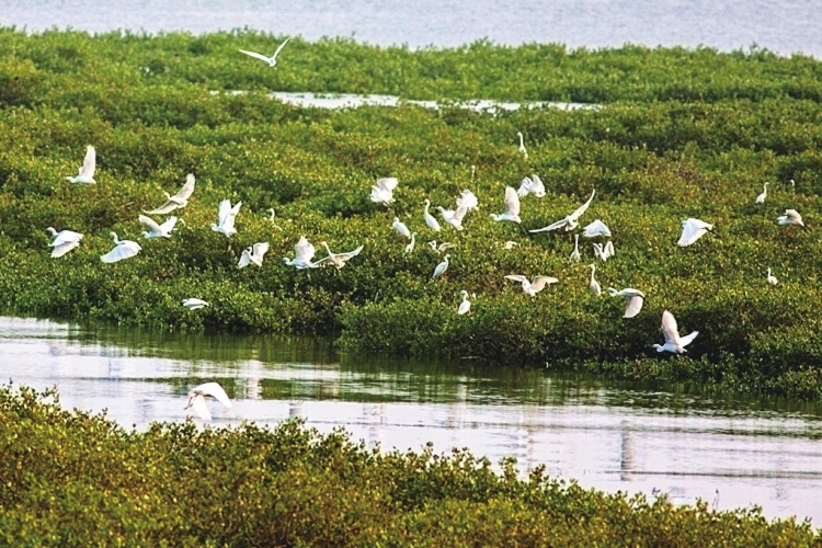 �����������V������������