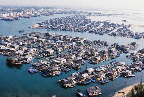 �����D�ң��V������������