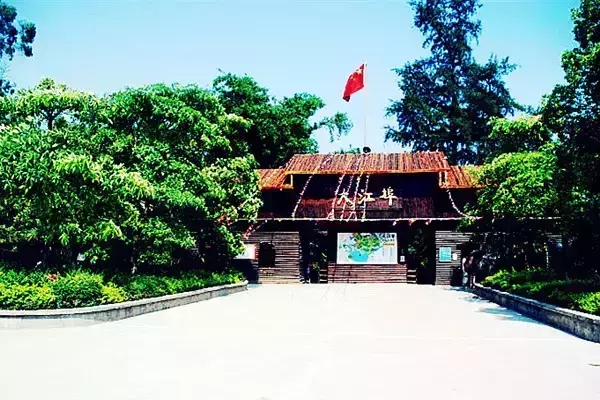 �����D�����V������������