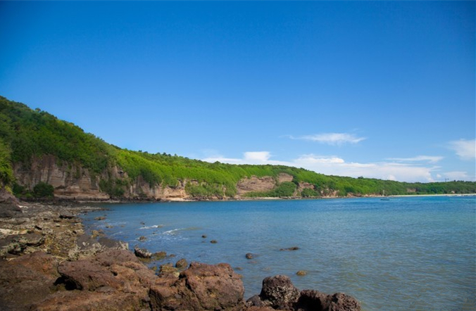 ���ލu�������V������������