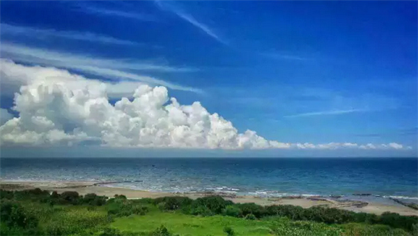 ���ލu�������V������������