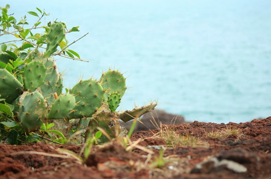 ���ލu�������V������������