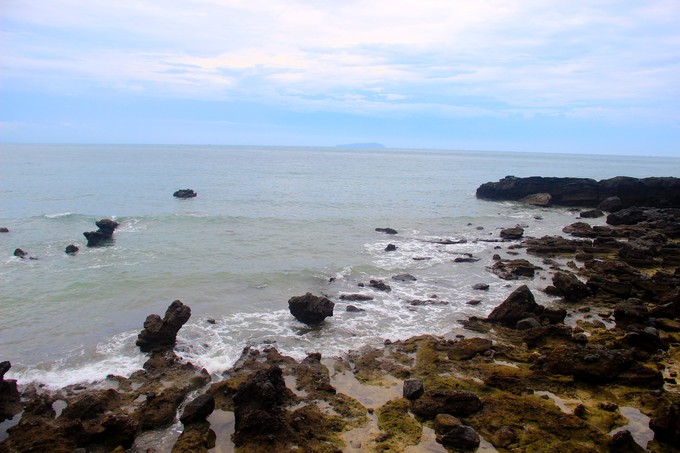 ���ލu�������V������������