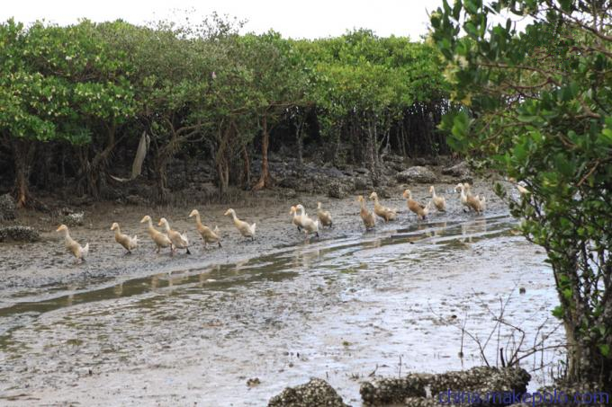 ���������������V������������