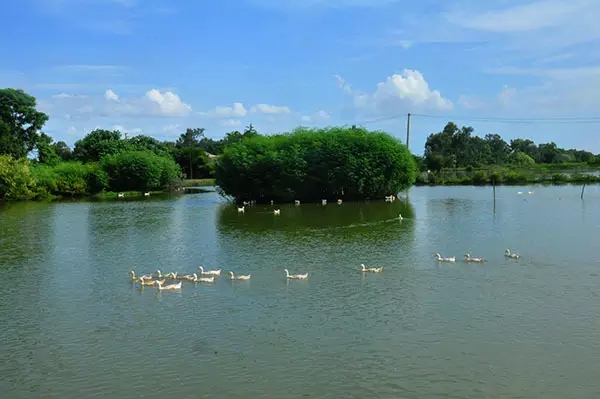 �V������������