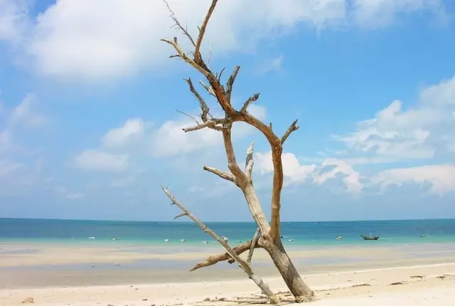 ���������ލu���V������������