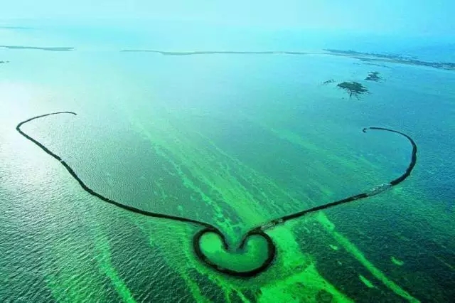 �u�Z�����ލu���V������������