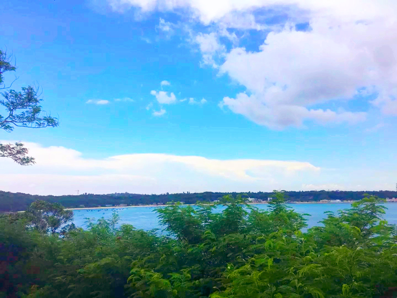 ���������ލu�������V������������