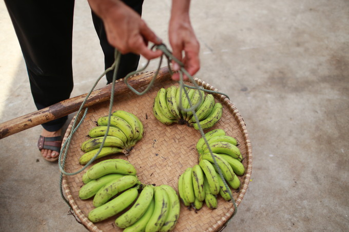 ���������ލu���Σ��V������������