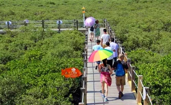 ������������V������������