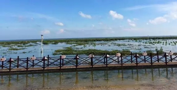 ��������أ��V������������