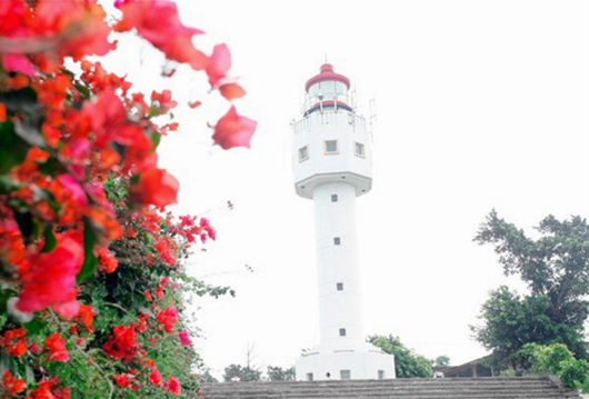 ���ލu�������V������������