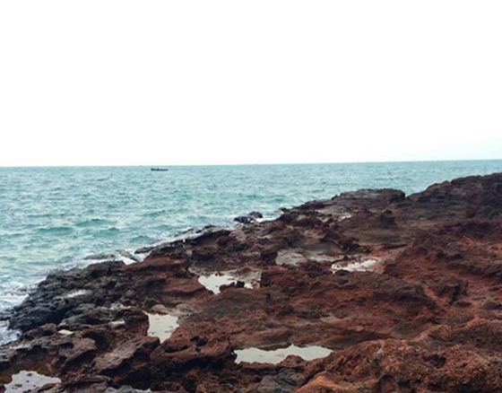 ���ލu���ι������V������������