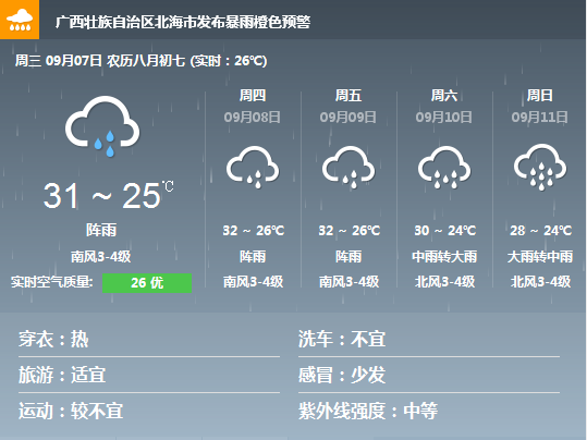 �V���������������������