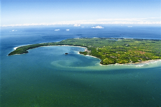 ���ލu�������V������������