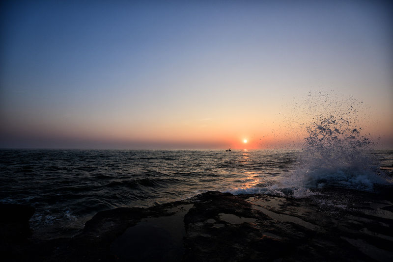 �V�����������������ލu