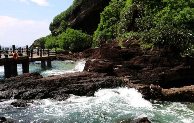 �V�����������������ލu����