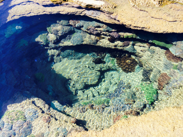 �V�����������������ލu���ι���