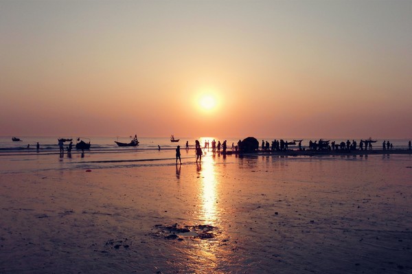 �V�����������������ލu����