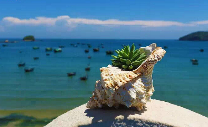 �V�����������������ލu����