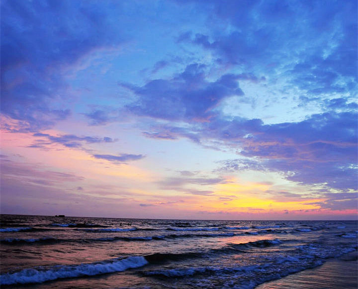 �V�����������������ލu���ι���