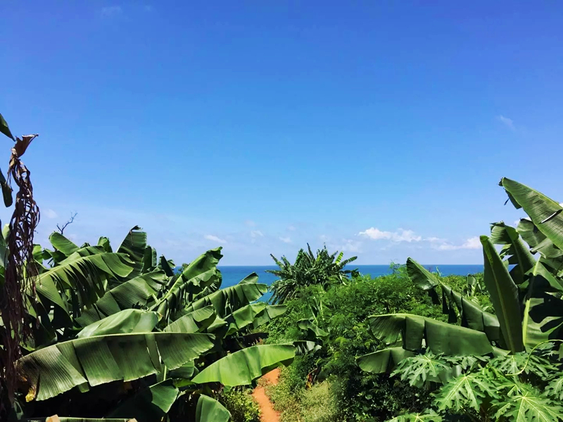 �V�����������������ލu����