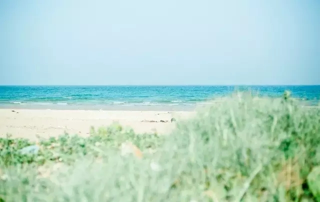 �V�����������������ލu