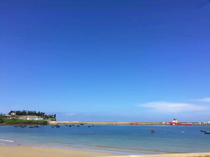 �V�����������������ލu