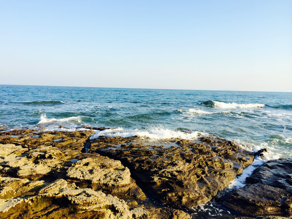 �V�����������������ލu����