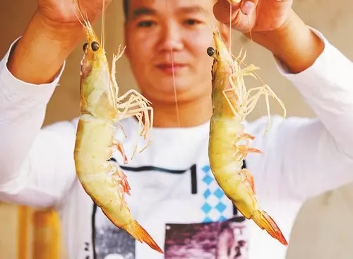 �V�����������������r