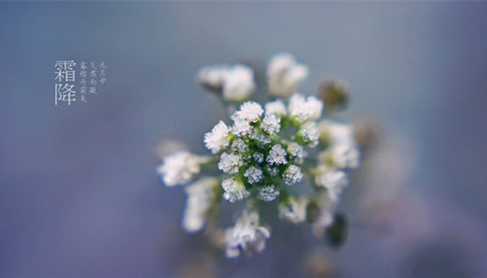 �V���������������������