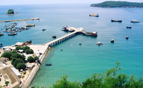 �V���������������ό������ލu����