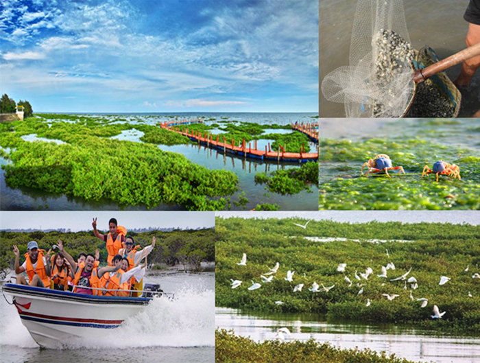 �V�����������������������M��