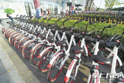 昨日下午，在開(kāi)福區(qū)萬(wàn)達(dá)廣場(chǎng)，成片的共享單車停放在廣場(chǎng)前坪。 長(zhǎng)沙晚報(bào)記者 黃啟晴 攝