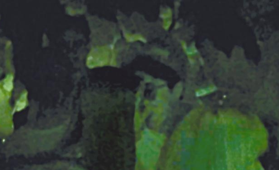 房祖名去年被港媒直擊在中環(huán)夜店與長(zhǎng)發(fā)妞互動(dòng)曖昧，女生正是Nana