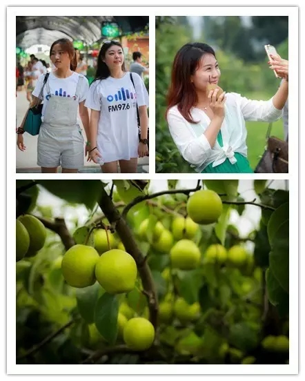 美女與香梨，你更愛哪一個？！