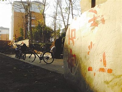 昨日，“上海奇石盆景博物館”原址上，已矗立起小區(qū)樓盤，而刻著博物館名的巨石，廢棄在一旁。本版圖片/新京報記者 張永生 攝