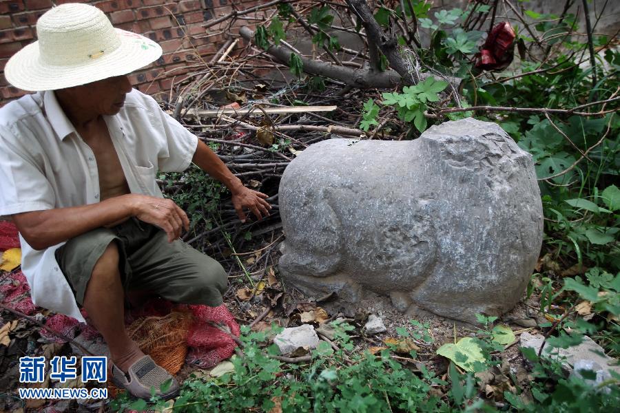 朝陽鎮(zhèn)后李村業(yè)余文保隊員，今年65歲的李連堂在上世紀(jì)平整土地時候，從地里挖出一個石羊殘身，至今仍放在