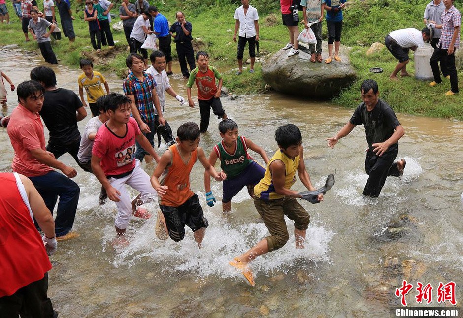 7月9日，村民在小河里摸魚搶魚。譚凱興 攝