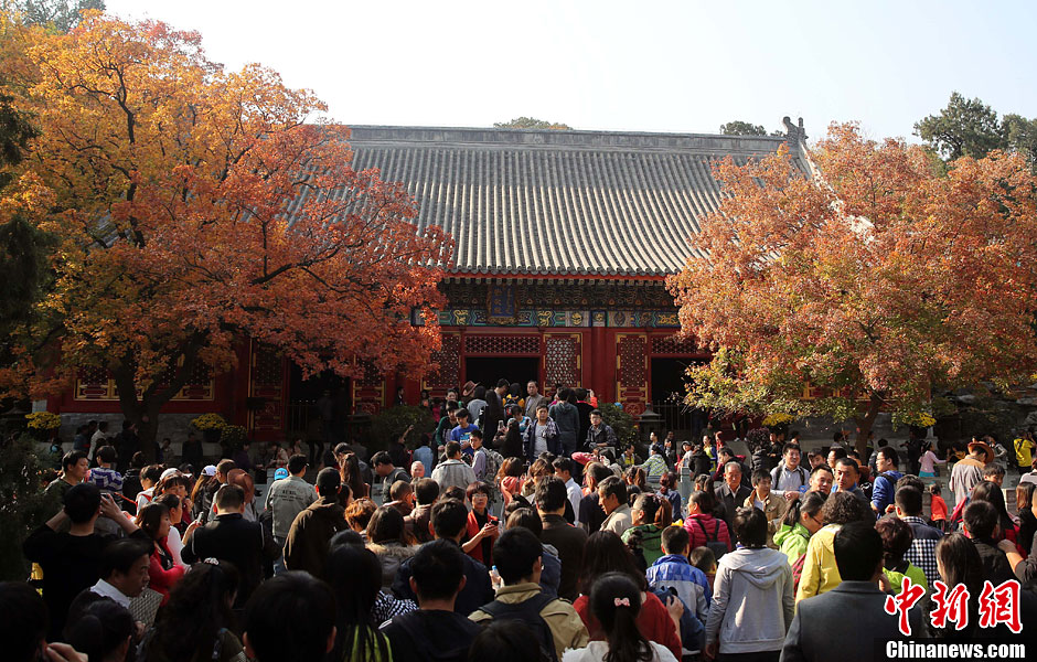 　10月26日，北京香山公園內(nèi)游客摩肩接踵。
