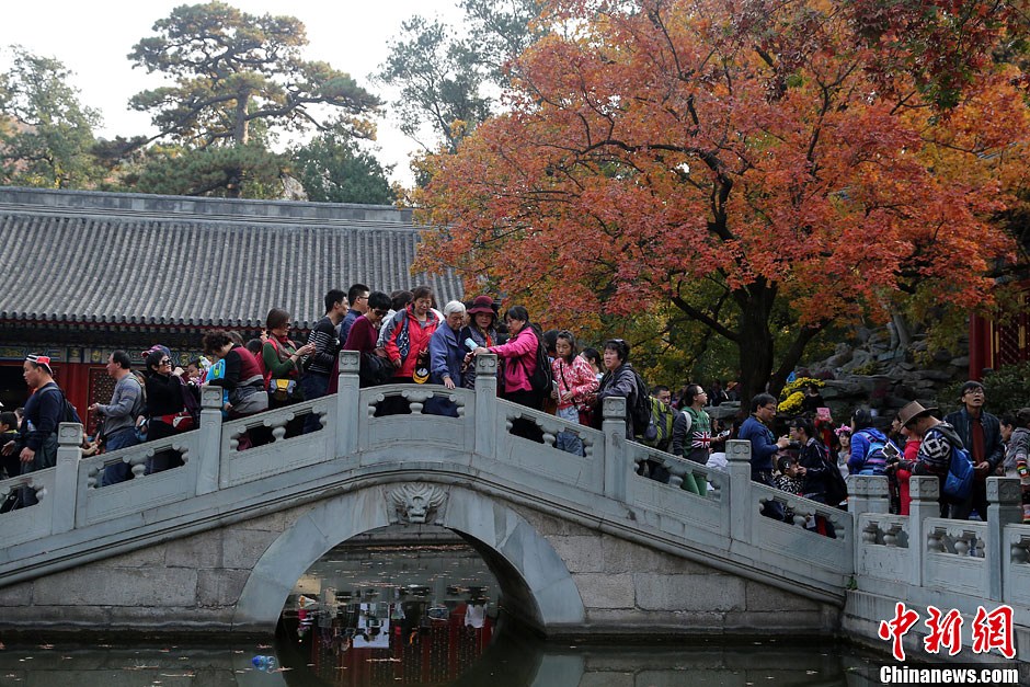 　10月26日，北京香山公園內(nèi)游客摩肩接踵。