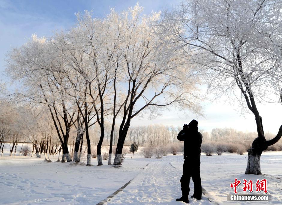 12月10日,受降溫天氣影響,黑河市黑龍江江畔出現(xiàn)綿延數(shù)公里的霧凇景觀。