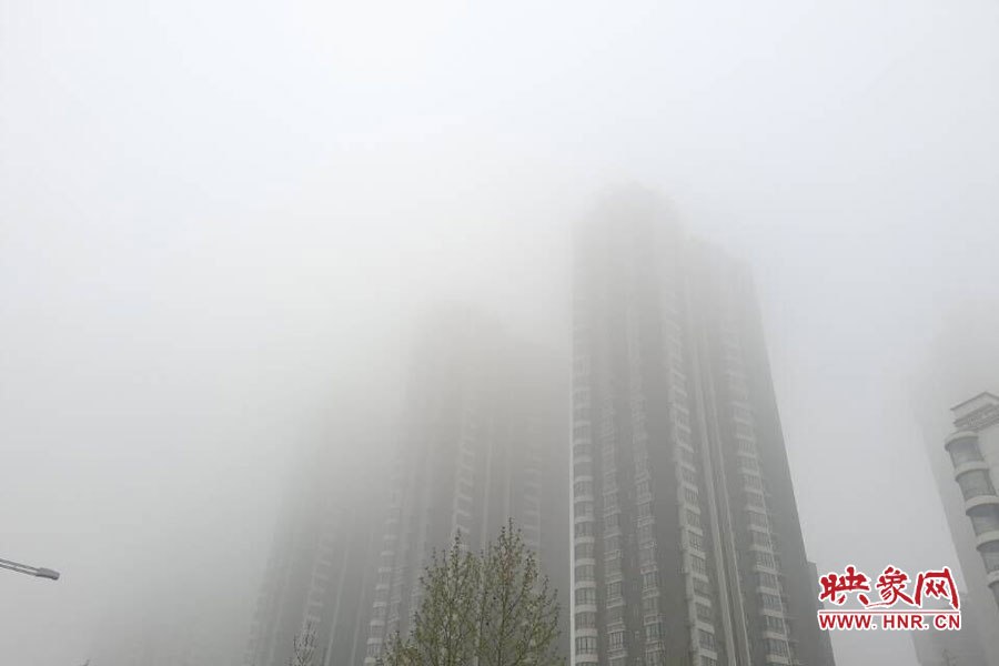 鄭州現(xiàn)大霧天氣，宛若仙境