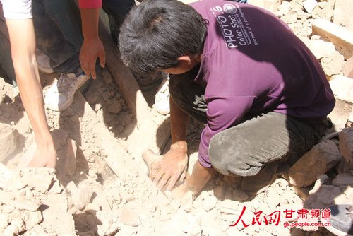 小黃狗露出了鼻子。王生元/攝
