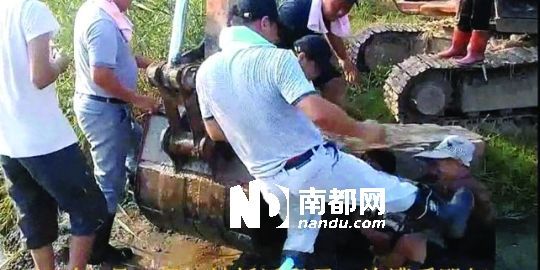 幾名戴黑帽的男子將一名老人推入水塘，后反復(fù)腳踹。